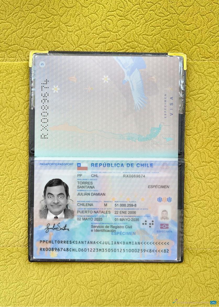Download Chile passport 2025 present photolook Photoshop template